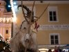 Perchtenlauf in Mondsee am 30.11.2025;  
Passen aus dem MondSeeLand und der Umgebung mit insgesamt ca. 150 Perchten versammeln sich im Ortszentrum und zeigen ihre meist handgeschnitzten Perchtenmasken.  
Foto und Copyright: Moser Albert, Fotograf, 5201 Seekirchen, Weinbergstiege 1, Tel.: 0043-676-7550526  albert.moser@sbg.at  www.moser.zenfolio.com