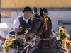 Dorffest mit Pferdekutschengala in Berndorf am 09.09.2018  
Foto und Copyright: Moser Albert, Fotograf, 5201 Seekirchen, Weinbergstiege 1, Tel.: 0043-676-7550526 mailto:albert.moser@sbg.at  www.moser.zenfolio.com