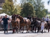 Dorffest mit Pferdekutschengala in Berndorf am 09.09.2018  
Foto und Copyright: Moser Albert, Fotograf, 5201 Seekirchen, Weinbergstiege 1, Tel.: 0043-676-7550526 mailto:albert.moser@sbg.at  www.moser.zenfolio.com