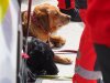 Blulichttag in Mattighofen vor der Motorhall mit Polizei, Feuerwehr und Rettung am 9. Mai 2025