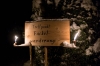 Fackelwanderung Seeham 2014 (1)