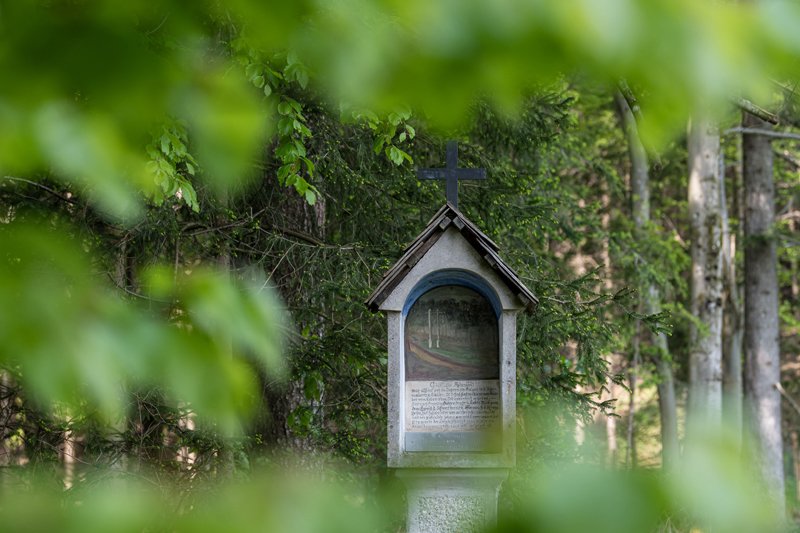 Galgenmarterl in Fischtaging in Seekirchen am 25.04.2020  
Foto und Copyright: Moser Albert, Fotograf, 5201 Seekirchen, Weinbergstiege 1, Tel.: 0043-676-7550526 mailto:albert.moser@sbg.at  www.moser.zenfolio.com