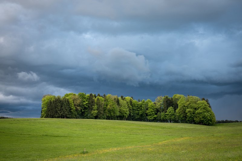 Fischtaging in Seekirchen vor einem Unwetter am 17.05.2021  
Foto und Copyright: Moser Albert, Fotograf, 5201 Seekirchen, Weinbergstiege 1, Tel.: 0043-676-7550526 mailto:albert.moser@sbg.at  www.moser.zenfolio.com