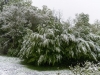 Wintereinbruch am 05.05.2019  
Foto und Copyright: Moser Albert, Fotograf, 5201 Seekirchen, Weinbergstiege 1, Tel.: 0043-676-7550526 mailto:albert.moser@sbg.at  www.moser.zenfolio.com