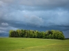 Fischtaging in Seekirchen vor einem Unwetter am 17.05.2021  
Foto und Copyright: Moser Albert, Fotograf, 5201 Seekirchen, Weinbergstiege 1, Tel.: 0043-676-7550526 mailto:albert.moser@sbg.at  www.moser.zenfolio.com