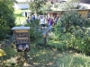 gartenroas-kraeuter-runde-32
