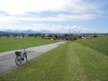 gartenroas-kraeuter-runde-6