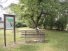 gartenroas-kraeuter-runde-7