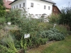 gartenroas-kraeuter-runde-8