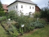 gartenroas-kraeuter-runde-9