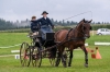 Landesmeisterschaft Gespannfahren Ein- und ZweispÃ¤nner in Seekirchen/Wimmhof;  
3. Bewerb, Hindernisfahren, am 06.08.2017;  Siegerin Magdalena Moser vom UGFC Wimmhof  
Foto und Copyright: Moser Albert, Fotograf, 5201 Seekirchen, Weinbergstiege 1, Tel.: 0043-676-7550526 mailto:albert.moser@sbg.at  www.moser.zenfolio.com
