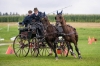 Landesmeisterschaft Gespannfahren Ein- und ZweispÃ¤nner in Seekirchen/Wimmhof;  
3. Bewerb, Hindernisfahren, am 06.08.2017; Leitner Markus vom URFV StraÃwalchen-Irrsdorf  
Foto und Copyright: Moser Albert, Fotograf, 5201 Seekirchen, Weinbergstiege 1, Tel.: 0043-676-7550526 mailto:albert.moser@sbg.at  www.moser.zenfolio.com