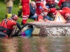 KatastrophenschutzÃ¼bung AIFER in Seekirchen am Wallersee am 29.04.2023  
Foto und Copyright: Moser Albert, Fotograf, 5201 Seekirchen, Weinbergstiege 1, Tel.: 0043-676-7550526 mailto:albert.moser@sbg.at  www.moser.zenfolio.com