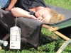 Katastrophenuebung Thalgau 2014 (38)