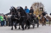 Leonhardiritt in Irrsdorf am 26.10.2015  
Foto und Copyright: Moser Albert, Fotograf, 5201 Seekirchen, Weinbergstiege 1, Tel.: 0043-676-7550526 mailto:albert.moser@sbg.at  www.moser.zenfolio.com