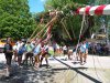 Maibaumaufstellen in Mattsee, Bild: Rule