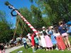 Maibaumaufstellen in Mattsee, Bild: Rule