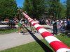 Maibaumaufstellen in Mattsee, Bild: Rule