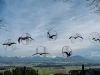 Vernissage zur Kunstinstallation von Franz GÃRG (Neumarkt) am Buchberg bei der Aussichtsplattform am 13.04.2022  
Foto und Copyright: Moser Albert, Fotograf, 5201 Seekirchen, Weinbergstiege 1, Tel.: 0043-676-7550526 mailto:albert.moser@sbg.at  www.moser.zenfolio.com