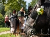 Rosserer Wallfahrt nach Maria Plain am 03.09.2023; 
Pferdesegnung durch Superior Winfried Bachler, Umrahmung durch die Bergheimer Musikkapelle, Einkehr beim Plainwirt mit Kirtag, Karusell, etc.  
Foto und Copyright: Moser Albert, Fotograf, 5201 Seekirchen, Weinbergstiege 1, Tel.: 0043-676-7550526 mailto:albert.moser@sbg.at  www.moser.zenfolio.com
