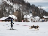 Int. Hundeschlittenrennen in Hintersee am 10.02.2023  
Foto und Copyright: Moser Albert, Fotograf, 5201 Seekirchen, Weinbergstiege 1, Tel.: 0043-676-7550526 mailto:albert.moser@sbg.at  www.moser.zenfolio.com