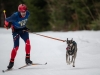 Int. Hundeschlittenrennen in Hintersee am 10.02.2023  
Foto und Copyright: Moser Albert, Fotograf, 5201 Seekirchen, Weinbergstiege 1, Tel.: 0043-676-7550526 mailto:albert.moser@sbg.at  www.moser.zenfolio.com