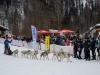 Int. Hundeschlittenrennen in Hintersee am 10.02.2023  
Foto und Copyright: Moser Albert, Fotograf, 5201 Seekirchen, Weinbergstiege 1, Tel.: 0043-676-7550526 mailto:albert.moser@sbg.at  www.moser.zenfolio.com