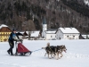 Int. Hundeschlittenrennen in Hintersee am 10.02.2023  
Foto und Copyright: Moser Albert, Fotograf, 5201 Seekirchen, Weinbergstiege 1, Tel.: 0043-676-7550526 mailto:albert.moser@sbg.at  www.moser.zenfolio.com