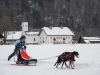 Int. Hundeschlittenrennen in Hintersee am 11.02.2023  
Foto und Copyright: Moser Albert, Fotograf, 5201 Seekirchen, Weinbergstiege 1, Tel.: 0043-676-7550526 mailto:albert.moser@sbg.at  www.moser.zenfolio.com