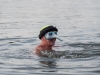 Silvesterschwimmen und Sternschiessen der SchÃ¼tzen Fuschl in Fuschl am See am 31.12.2022    
Foto und Copyright: Moser Albert, Fotograf, 5201 Seekirchen, Weinbergstiege 1, Tel.: 0043-676-7550526 mailto:albert.moser@sbg.at  www.moser.zenfolio.com