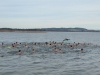 silvesterschwimmen-2023-28